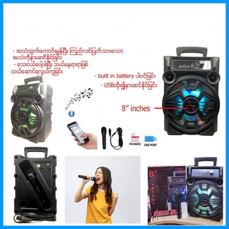 KTS-1090D Speaker