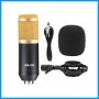 Studio Microphone