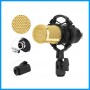 Studio Microphone