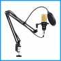 Studio Microphone