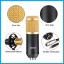 Studio Microphone