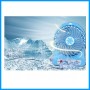Portable Mini Fan