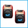 Wireless Microphone