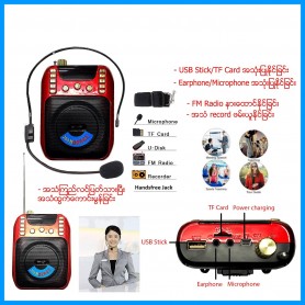 Wireless Microphone