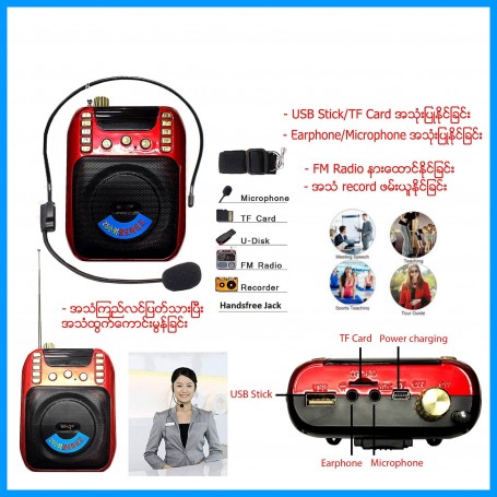 Wireless Microphone