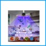2 in 1 lighting UV disinfection Lamp