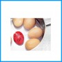 Egg Timer