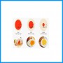Egg Timer