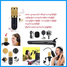 Studio Microphone