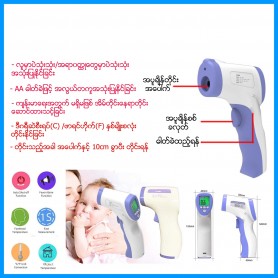 Thermometer