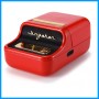 Portable Printer B21