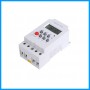 Electronic Timer