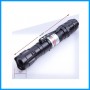 Green Laser Pointer