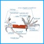 Multitool knife and hammer set