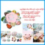 Candy Box