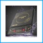Induction Cooker