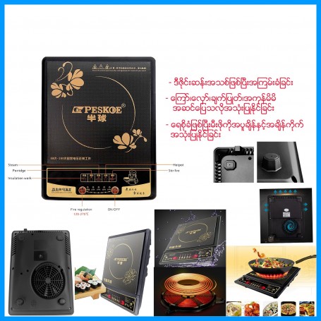 Induction Cooker