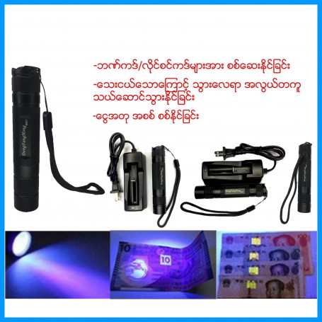Money Detector Flashlight
