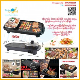 2IN1 BBQ GRILL
