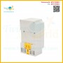 Electronic Timer