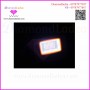 Portable Solar Light
