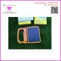 Portable Solar Light