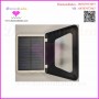 Mini solar Light