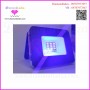 Mini solar Light