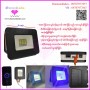 Mini solar Light