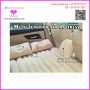 Car Sofa