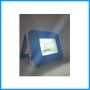 Mini solar Light