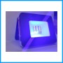 Mini solar Light