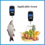 Portable Electronic Scale