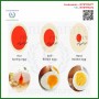 Egg Timer