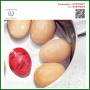 Egg Timer