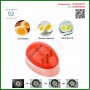 Egg Timer
