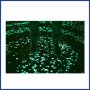 LED Light Stone