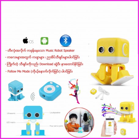 Intelligence Education Music Robot