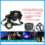 Head Lamp