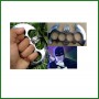 Batman brass knuckles
