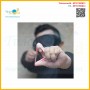 Vietnam ring slingshot