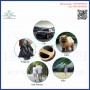 WaterProof Live GPS Tracker