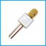 Karaoke Microphone