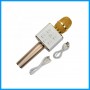 Karaoke Microphone