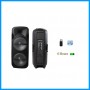 15 inches Professional Dual Speaker (MSA 9020)