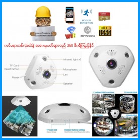 Panoramic Fisheye Camera