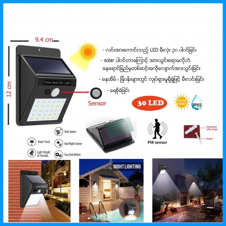 Solar Motion Sensor Light