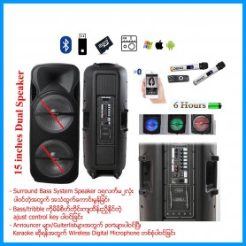 15 inches Professional Dual Speaker (MSA 9020)